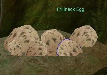 Frillneck Egg